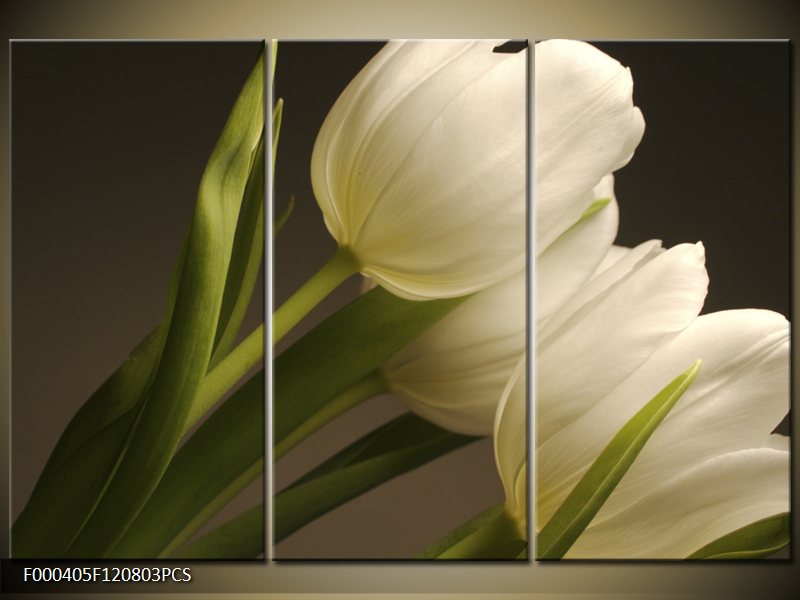 tulipány