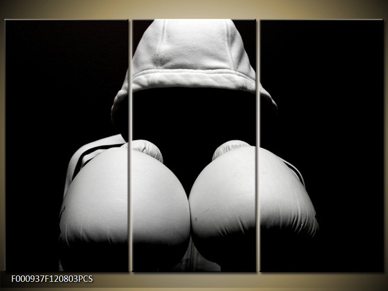 boxer