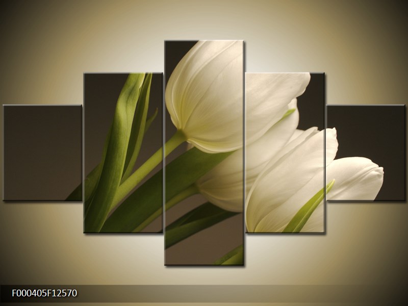 tulipány