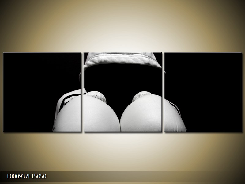 boxer