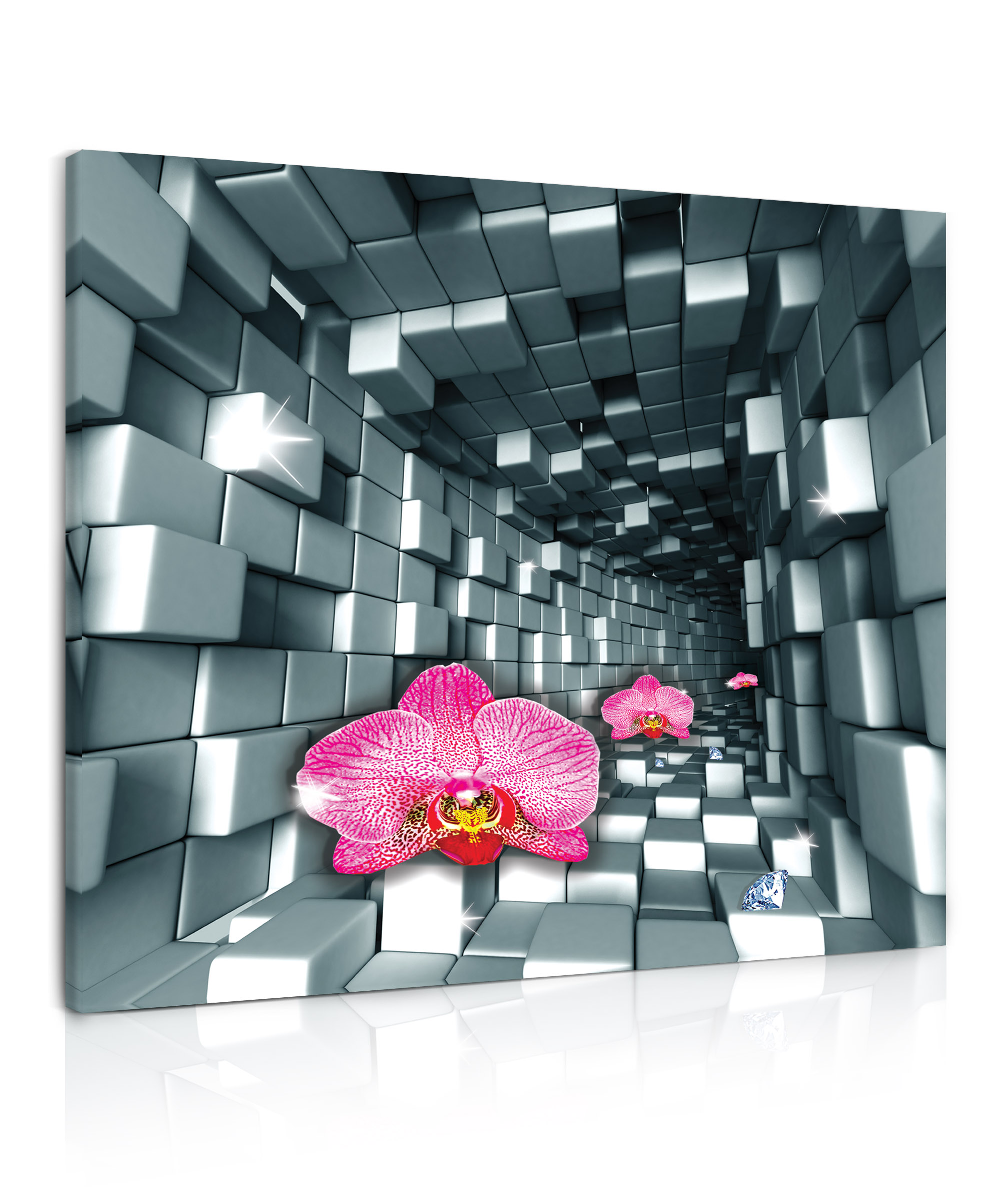 3D obraz Orchidej v tunelu 80x80  cm