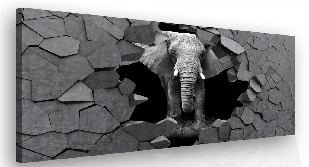 3D obraz Slon v kameni 90x60  cm