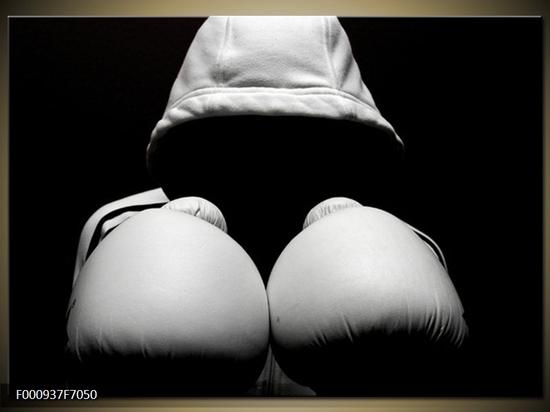 boxer