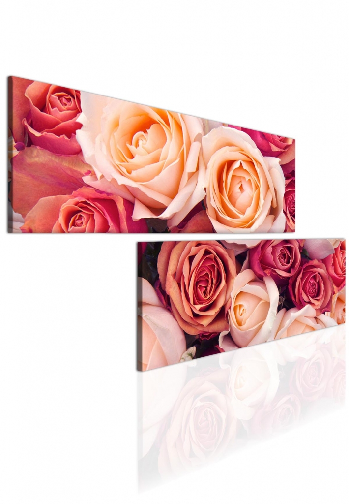 Atypick obraz Re 80x40  cm, 2 dly