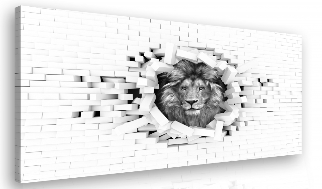 Černobílý obraz Lev 60x40  cm