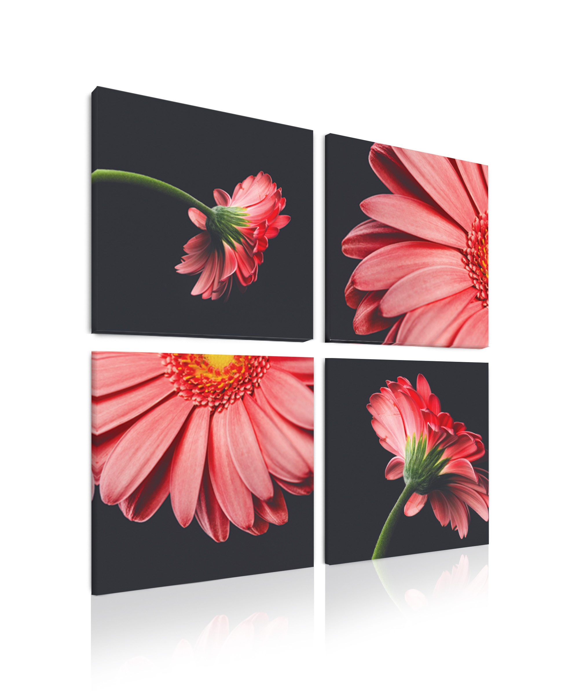 Čtyřdílný obraz Červené květy 50x50  cm, 4 díly