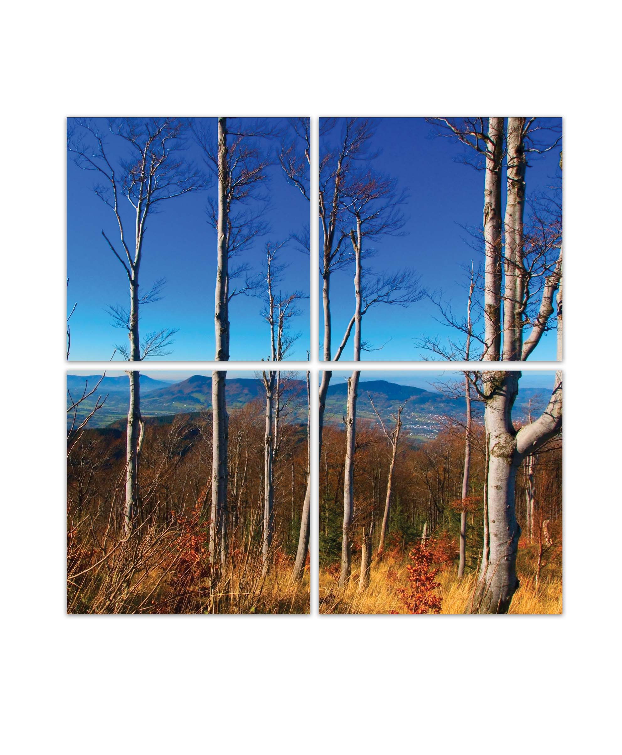 Obraz Cestou z Lysé hory 100x100  cm, 4 díly