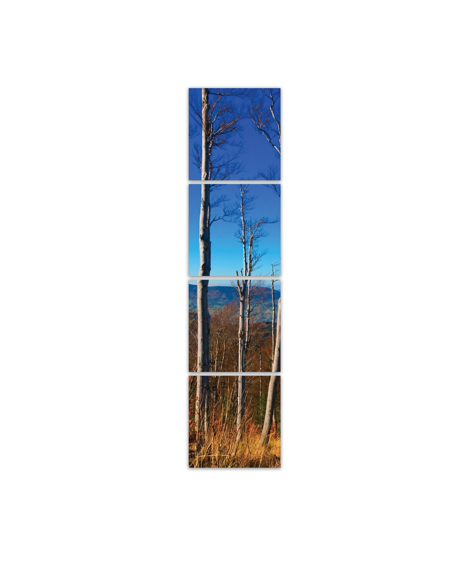 Obraz Cestou z Lysé hory 30x120  cm, 4 díly