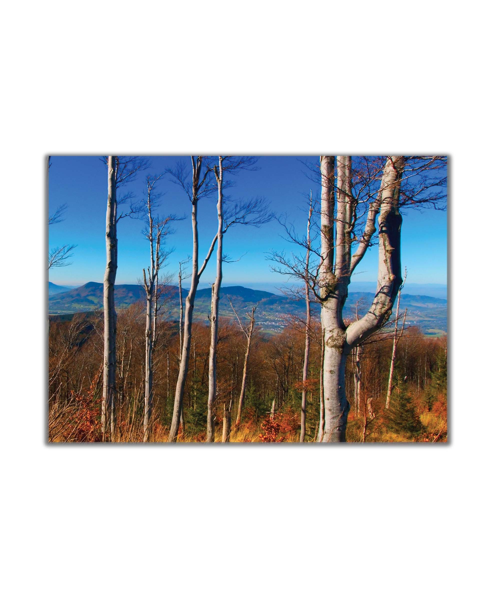 Obraz Cestou z Lysé hory 120x80  cm
