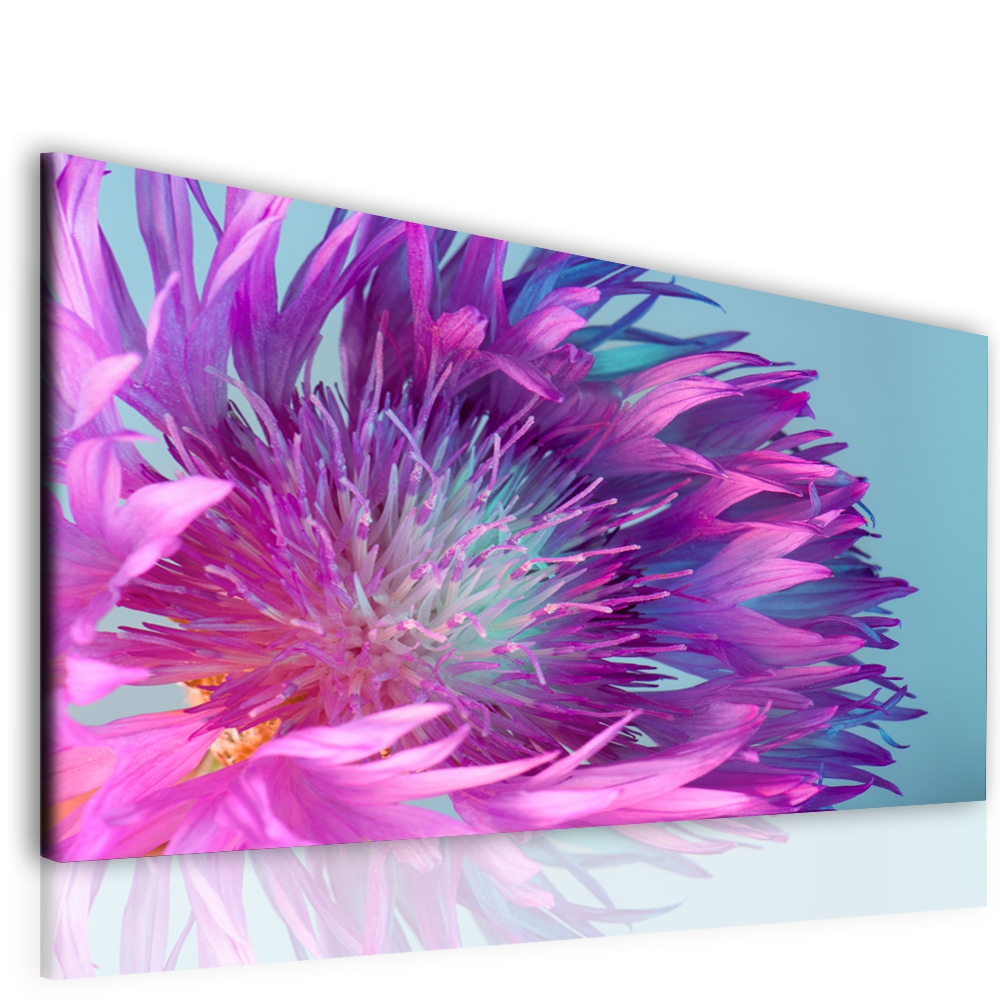 Obraz do lonice Jemn kvt 150x100  cm