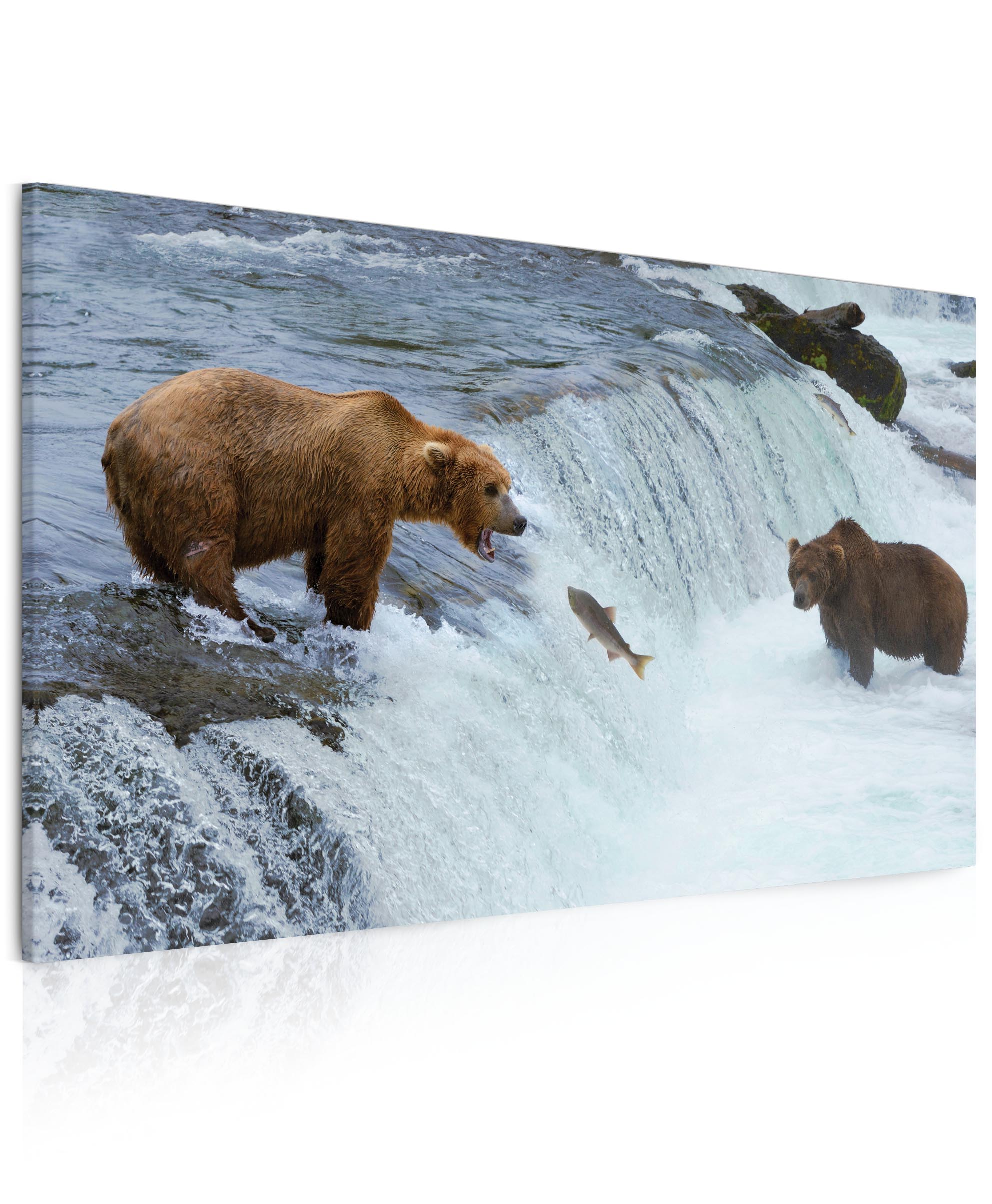 Obraz Medvědi při lovu 100x60  cm