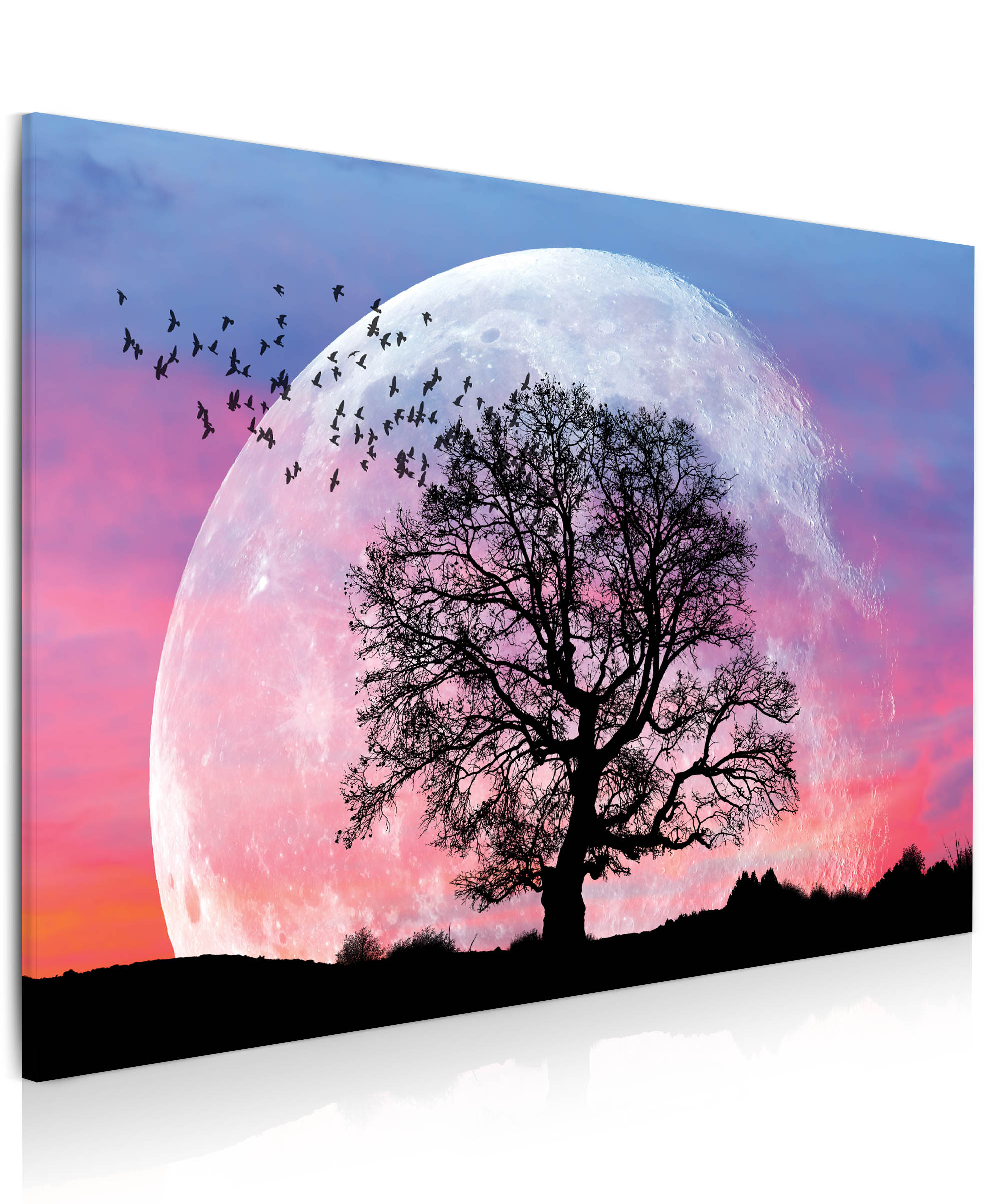Obraz Měsíc a strom 90x60  cm