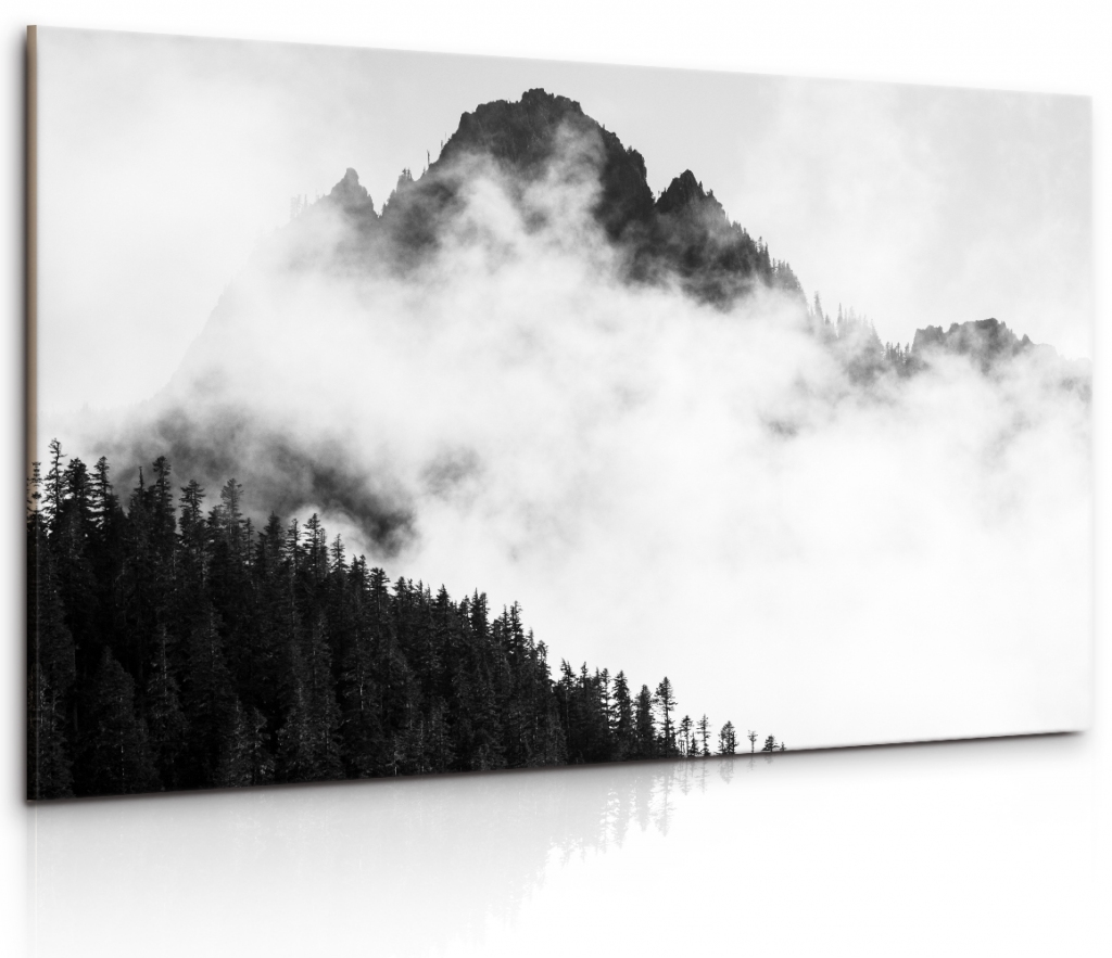 Obraz Mlha v Alpch v ernobl 120x80  cm