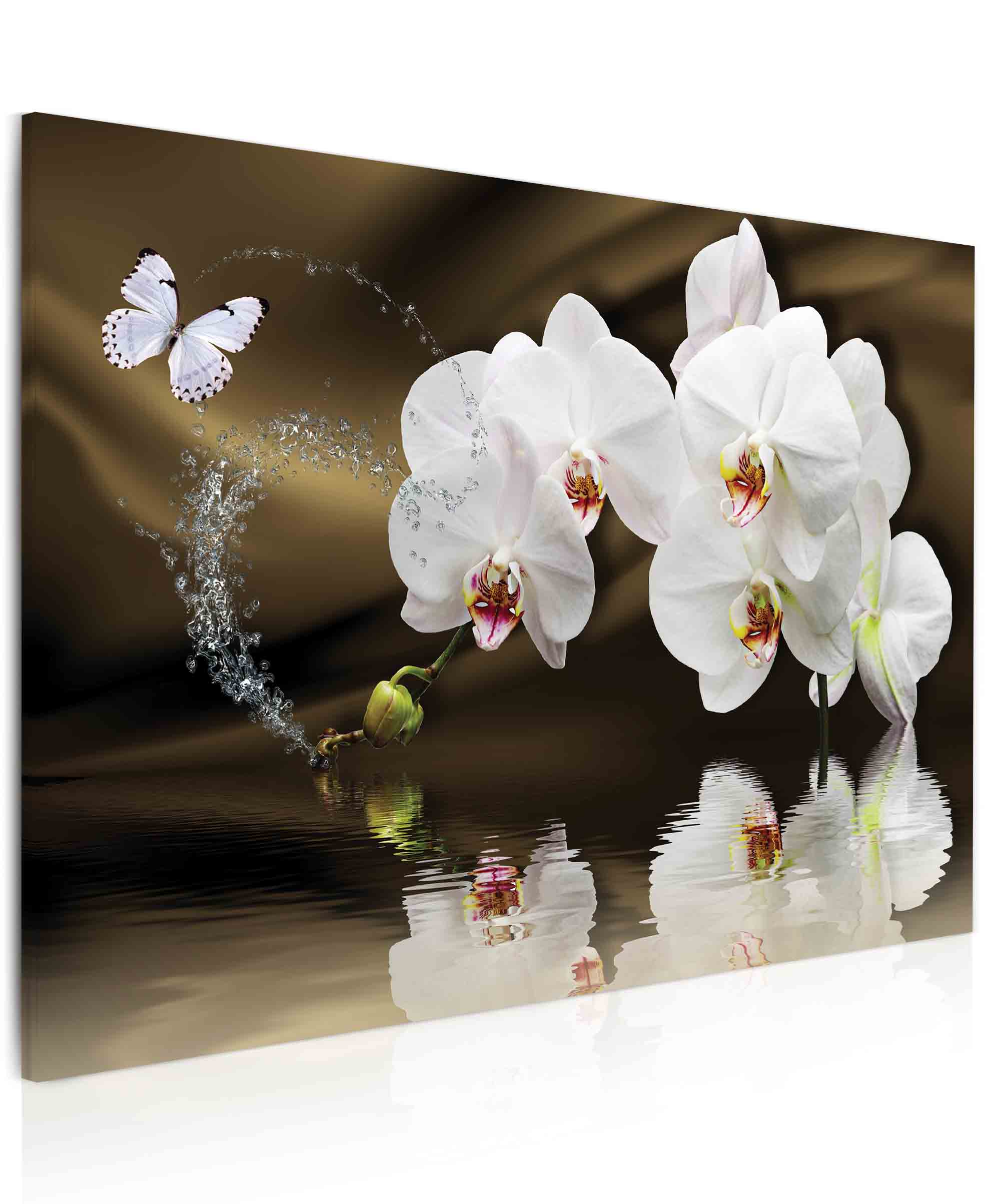 Obraz Motl orchidej nad hladinou 120x80  cm