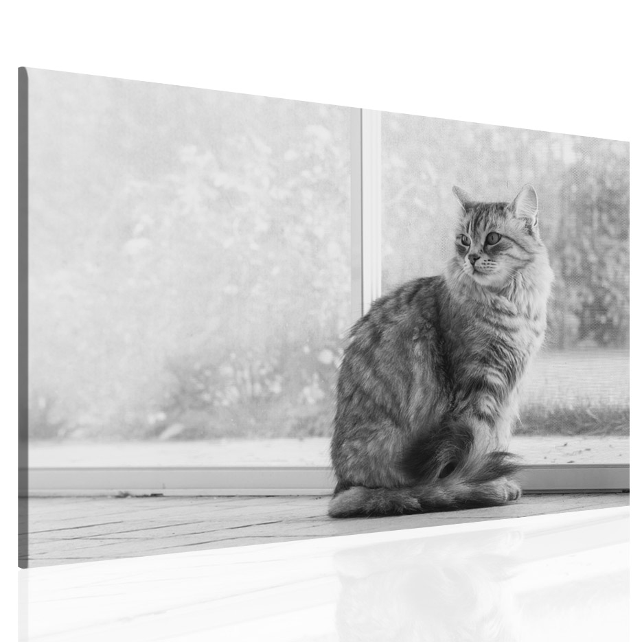 Obraz na pltn Koka 120x80  cm