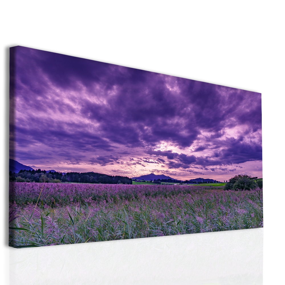 Obraz na pltn Levandulov krlovstv 90x60  cm
