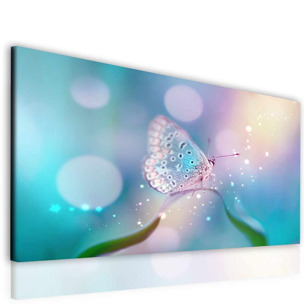 Obraz na pltn Motl 90x60  cm