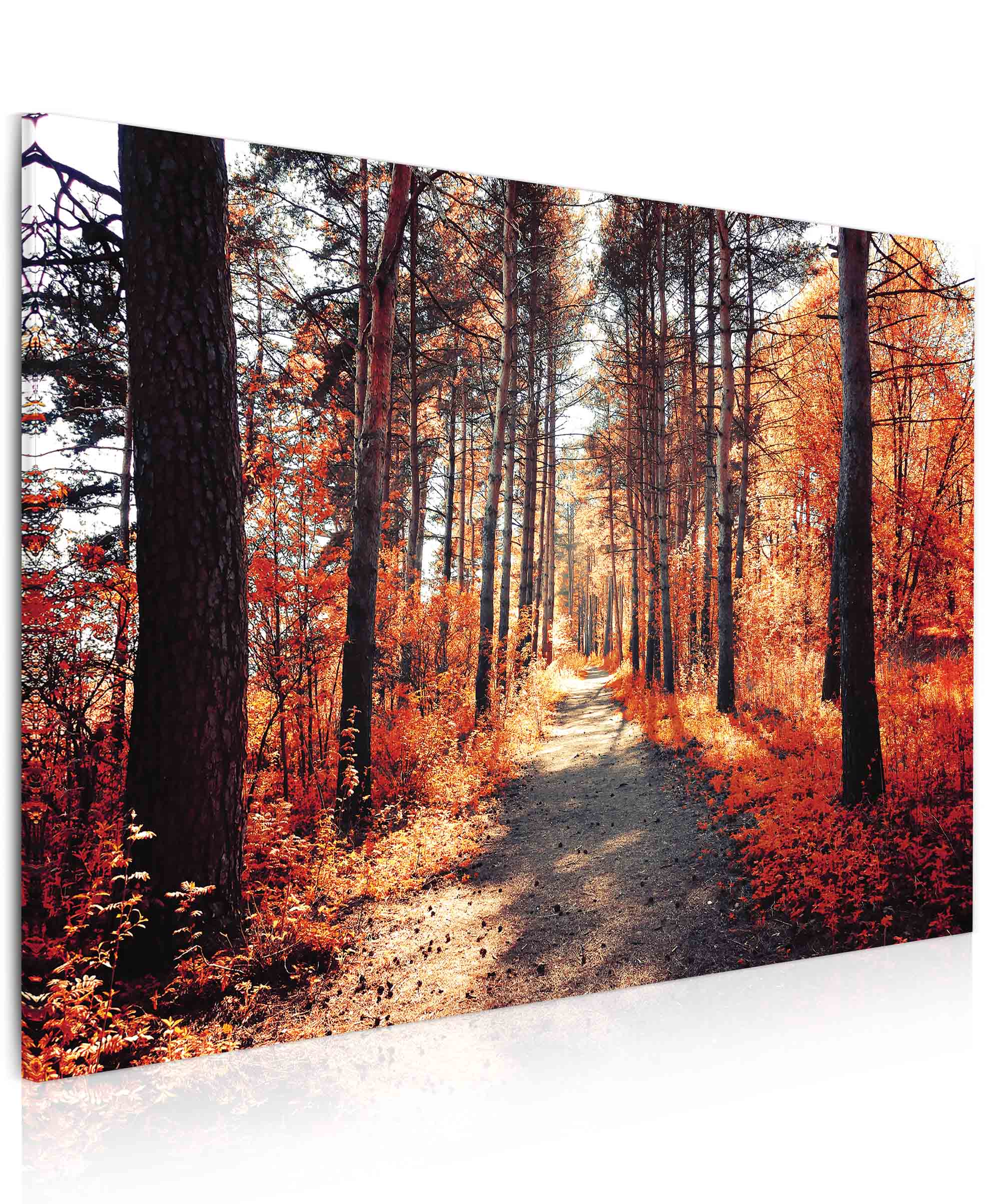 Obraz na pltn Podzimn prochzka 90x60  cm