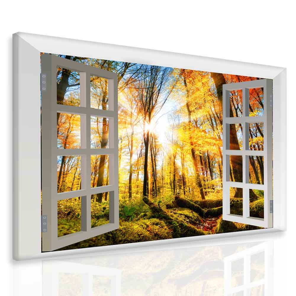 Obraz okno do přírody 100x80  cm