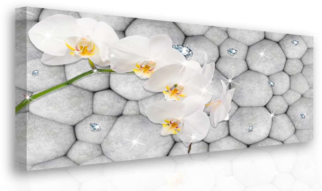 Obraz - orchidej s diamanty 150x100  cm