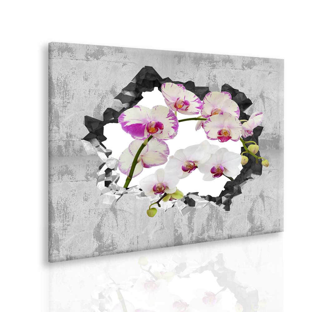 Obraz orchidej ve zdi II 90x60  cm