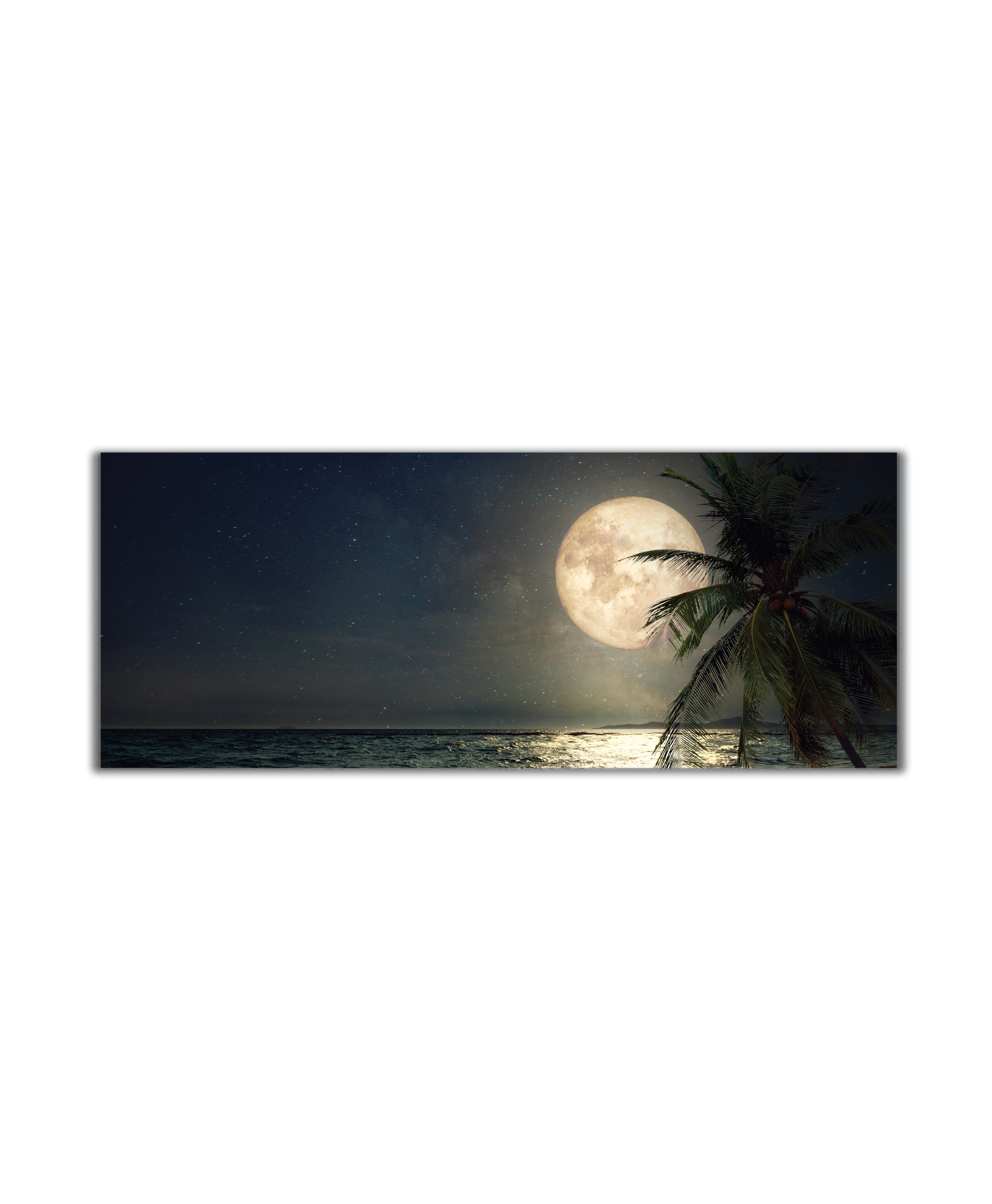 Obraz Pláž s palmou při měsíci 100x45  cm