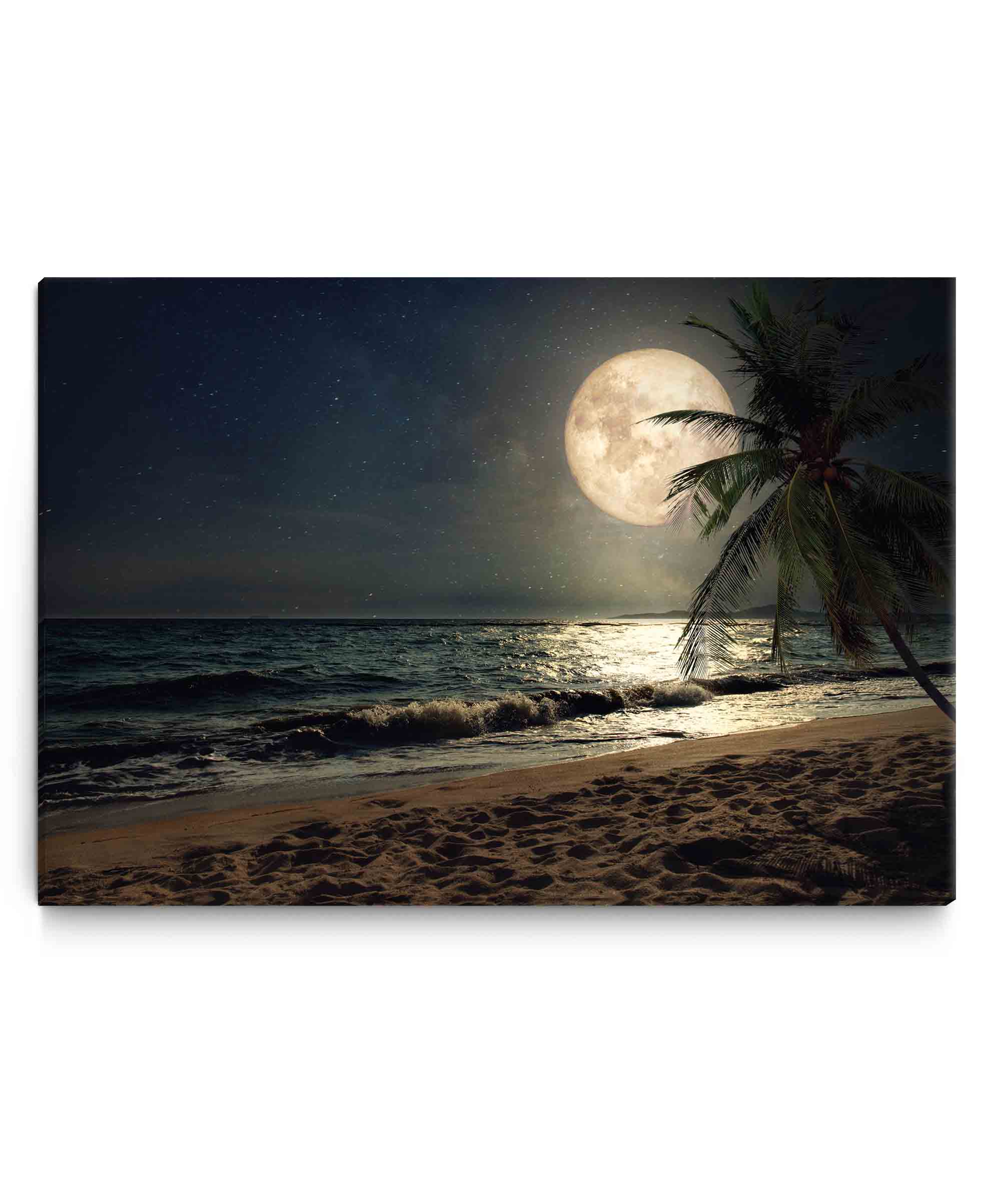 Obraz Pláž s palmou při měsíci 90x60  cm