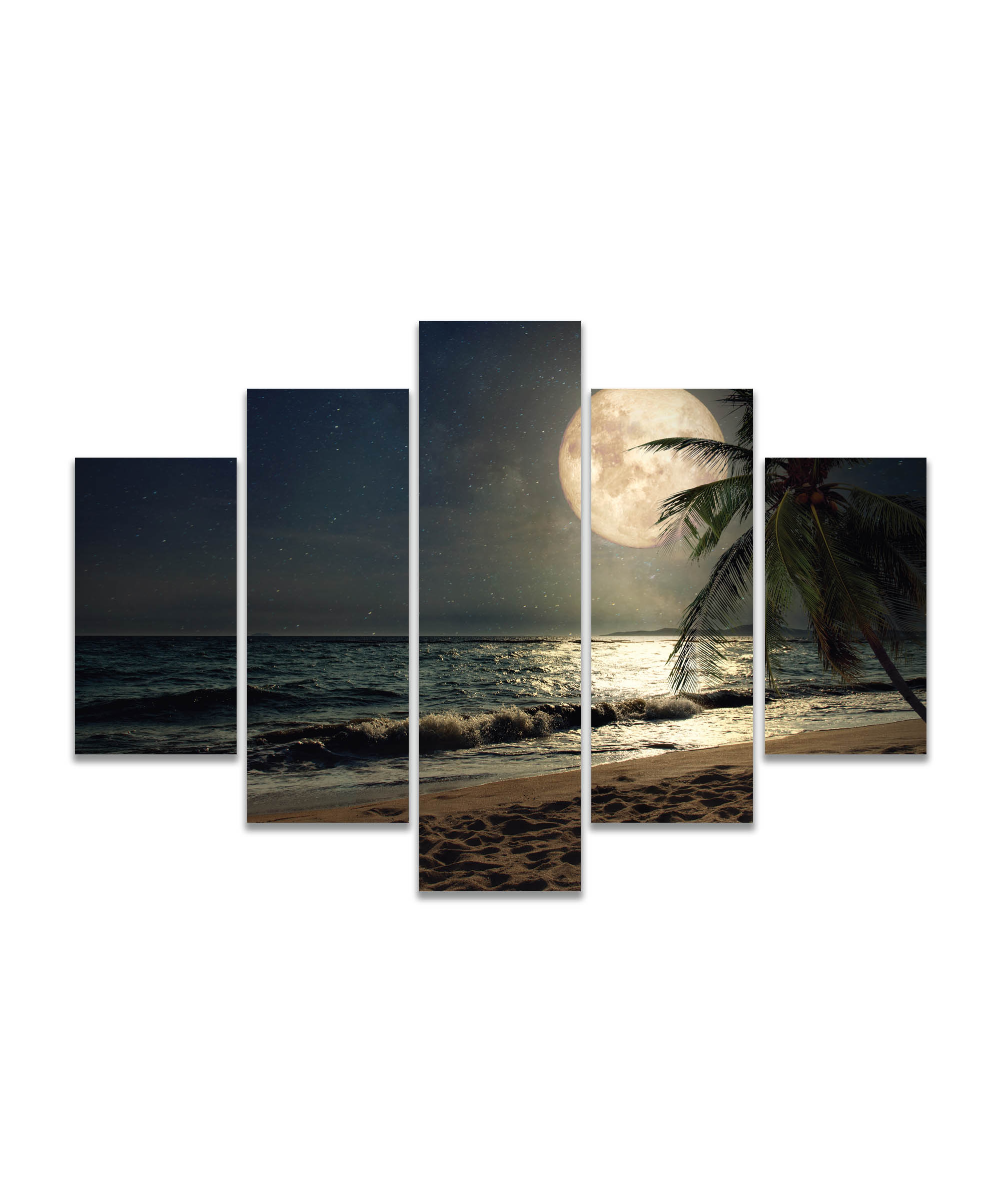 Obraz Pláž s palmou při měsíci 100x50  cm, 5 dílů
