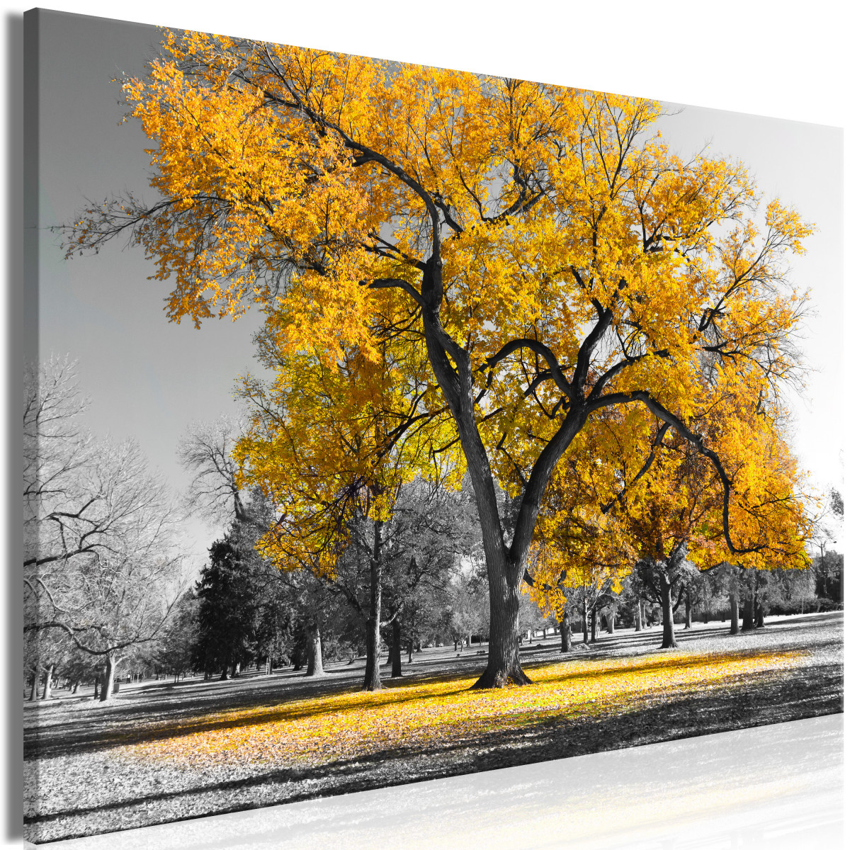 Obraz podzim v parku - žlutý 90x60  cm