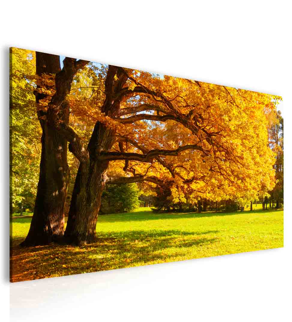 Obraz podzimn atmosfra 120x60  cm