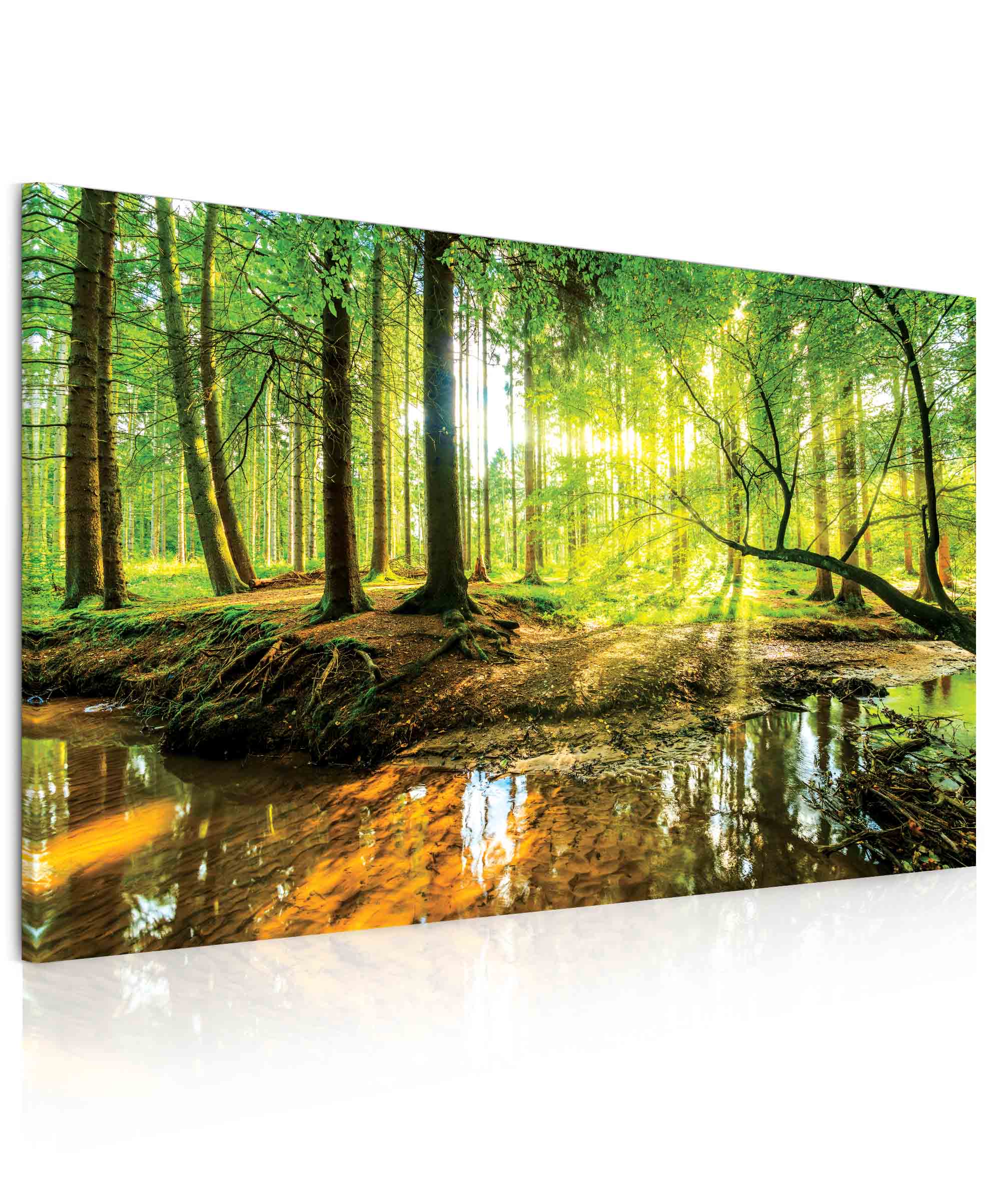Obraz pohoda v lese 150x100  cm