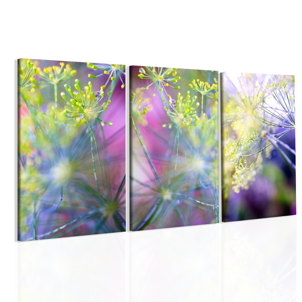 Obraz rann rosa I 120x80  cm