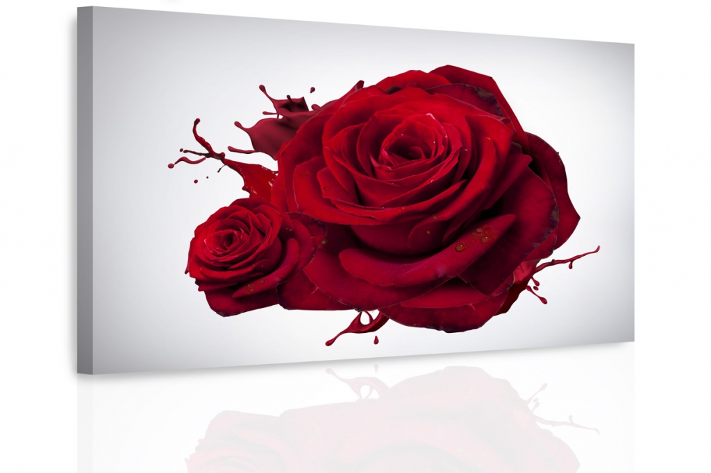 Obraz - Re 150x100  cm