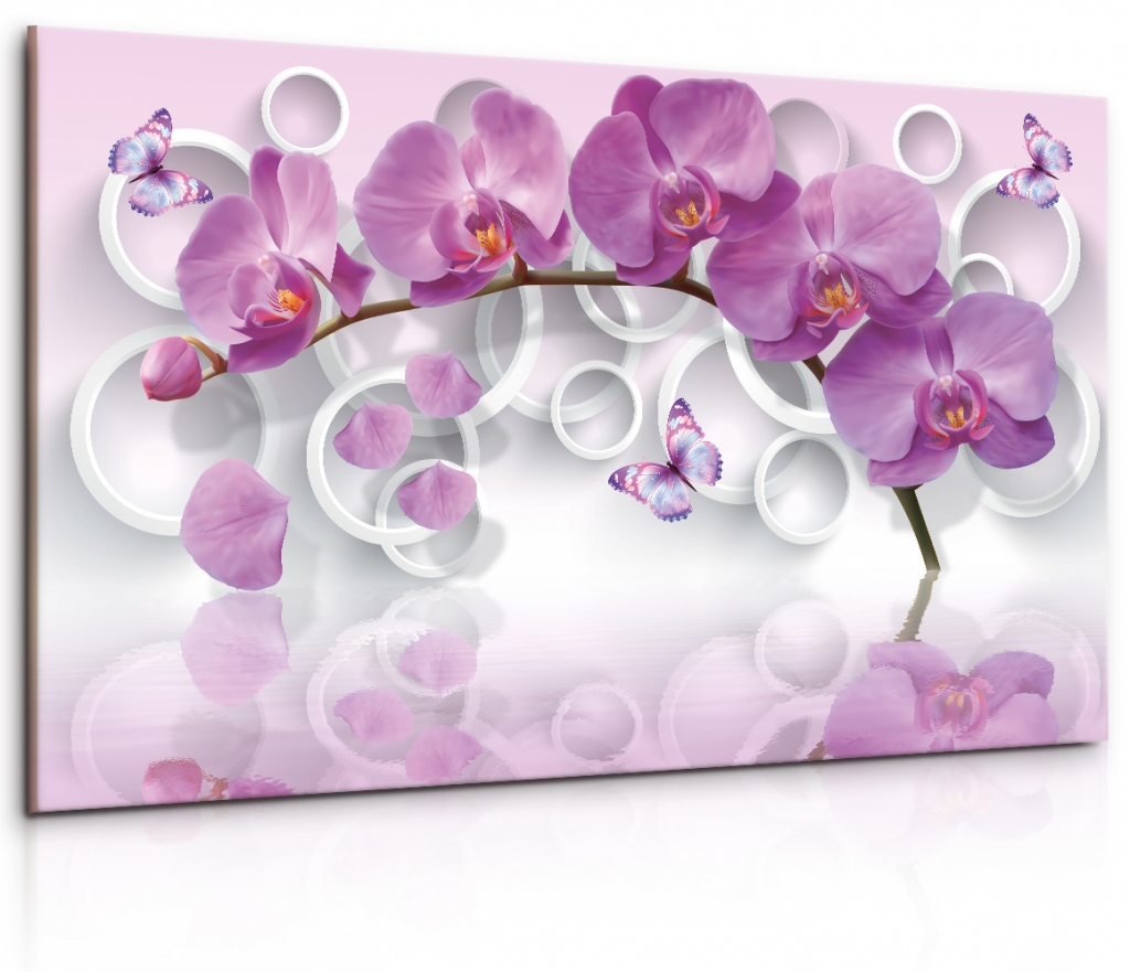 Obraz Rov motl orchidej 120x80  cm
