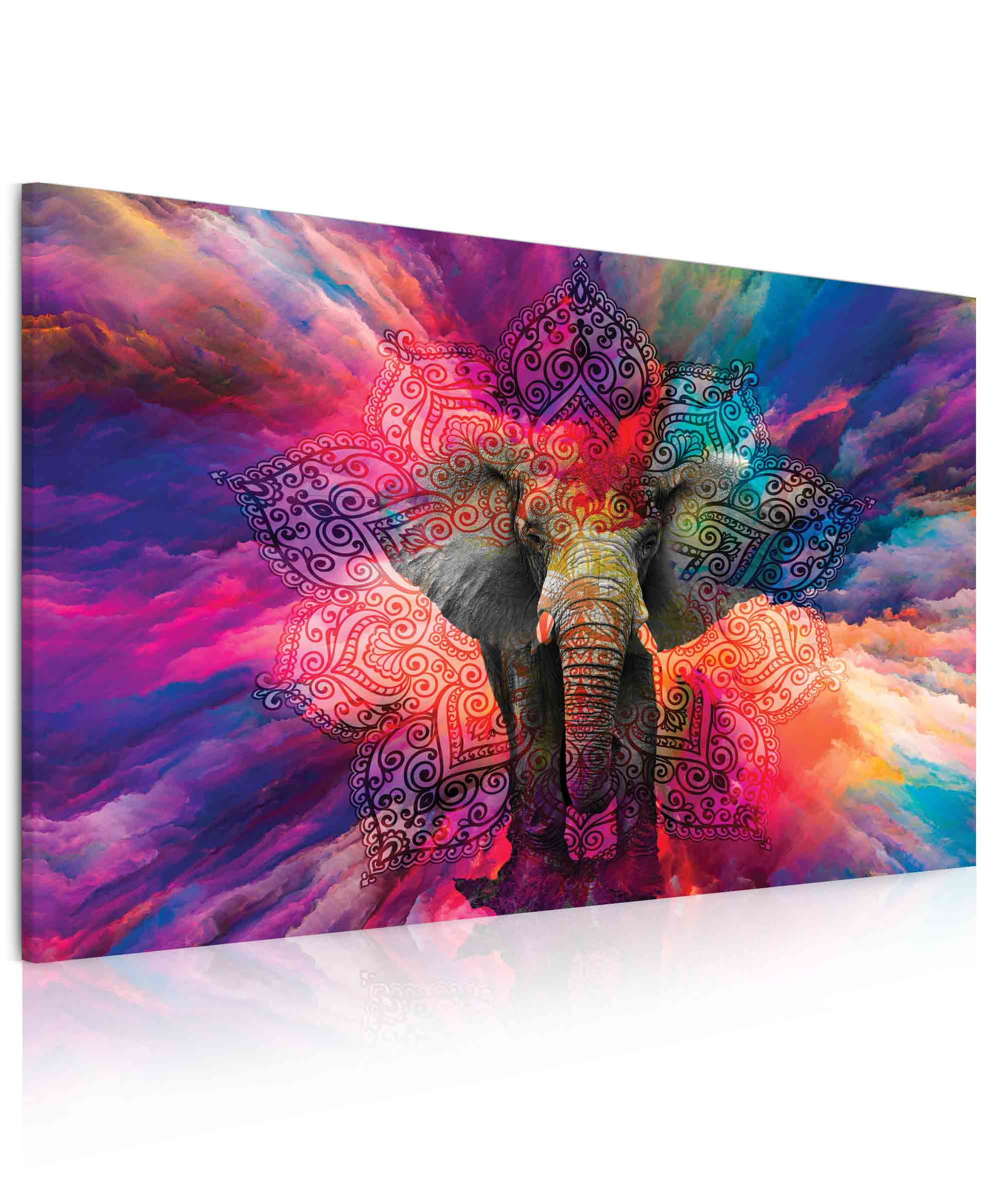 Obraz slon tst 90x60  cm