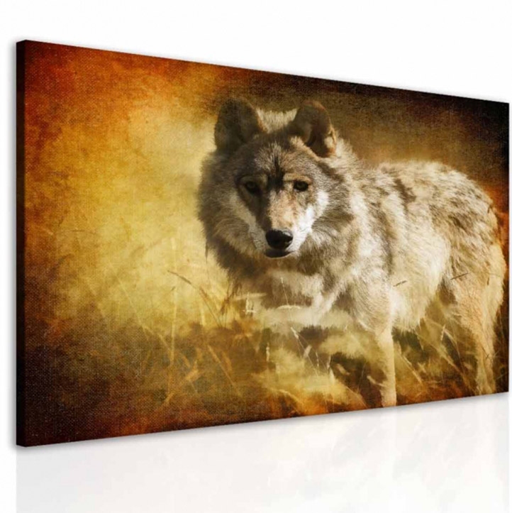 Obraz snov vlk 50x40  cm