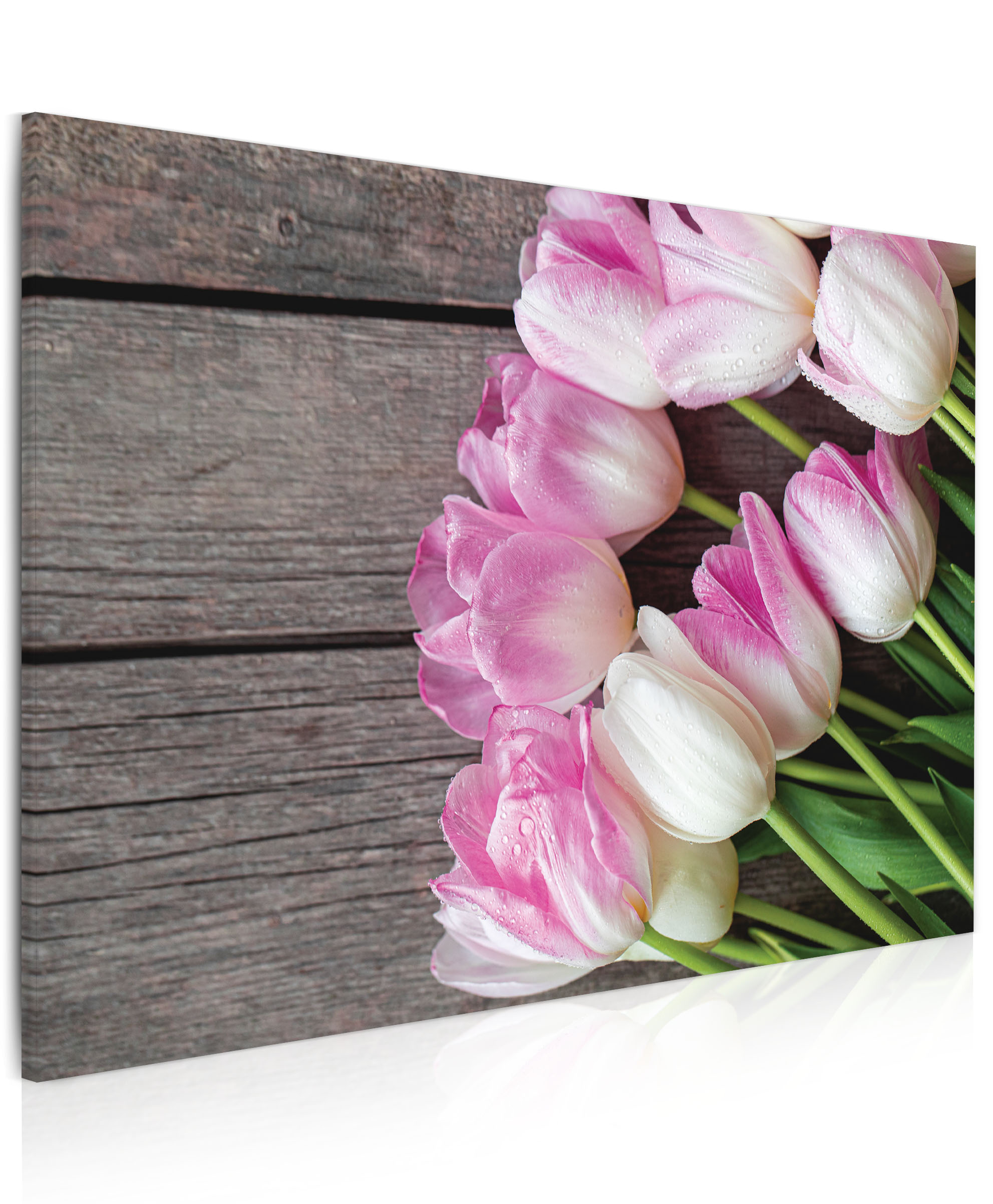 Obraz Tulipny na dev 90x60  cm