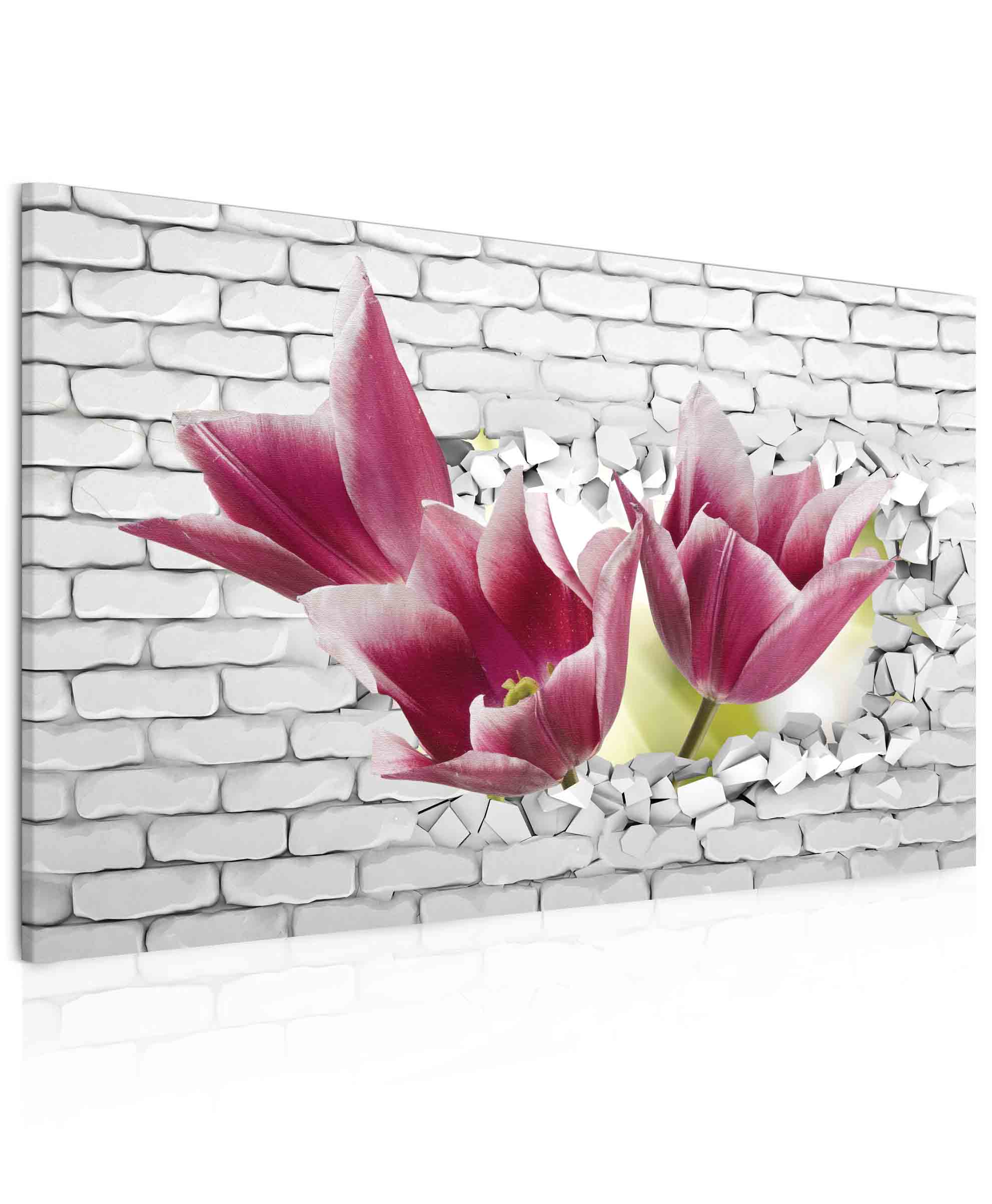 Obraz tulipny ve zdi 90x60  cm