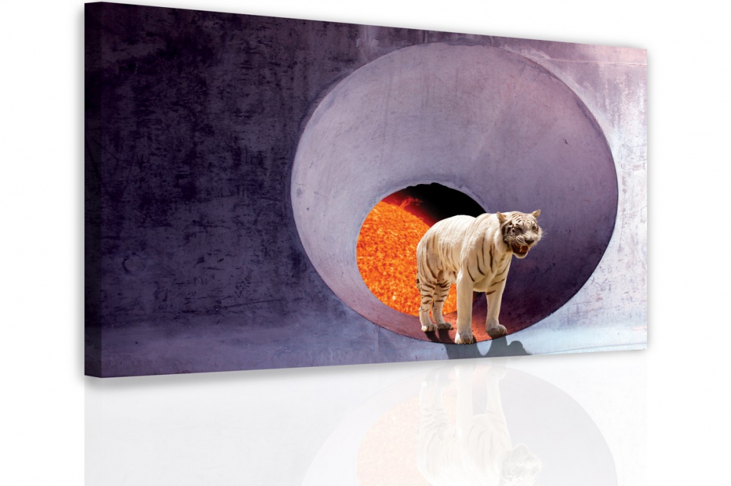 Obraz - Tygr ve vesmru 120x80  cm