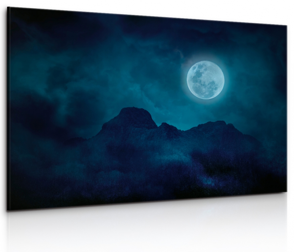 Obraz plnk v horch 90x60  cm