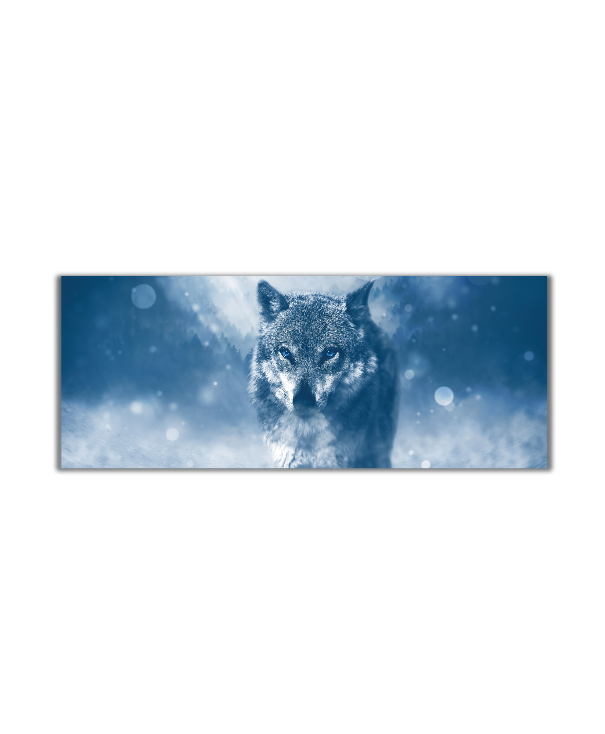 Obraz vlk v zimě 100x45  cm