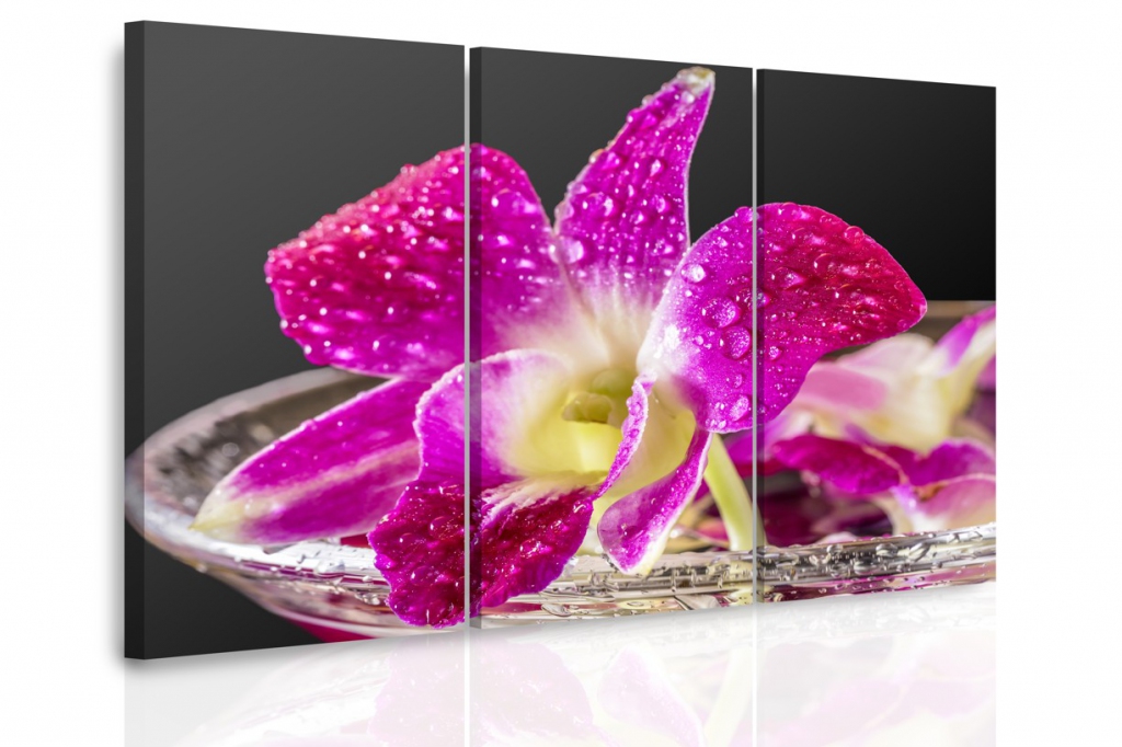 Vcedln obraz - Fialov orchidej 90x60  cm