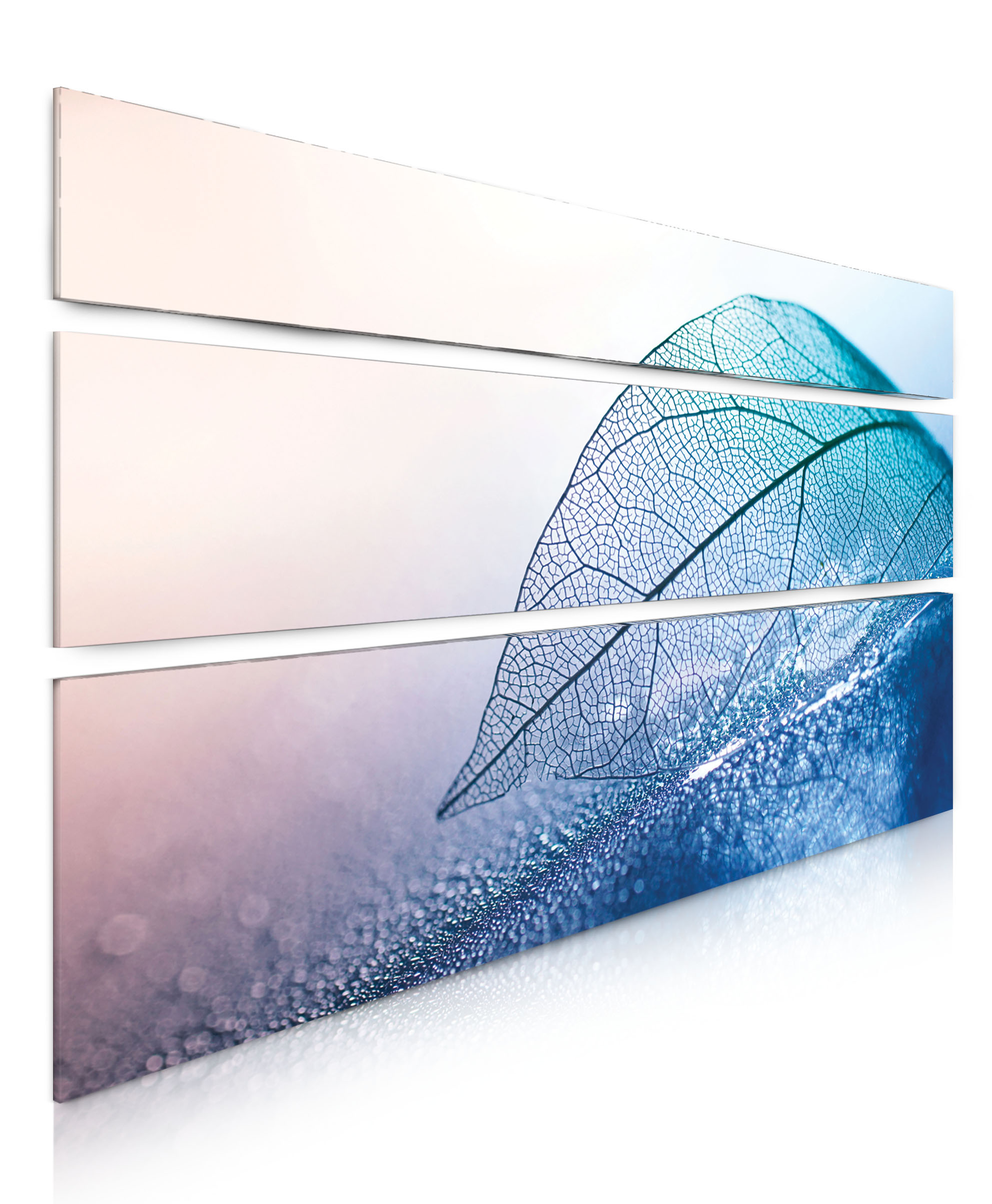 Vcedln obraz List v rose 130x80  cm, 3 dly