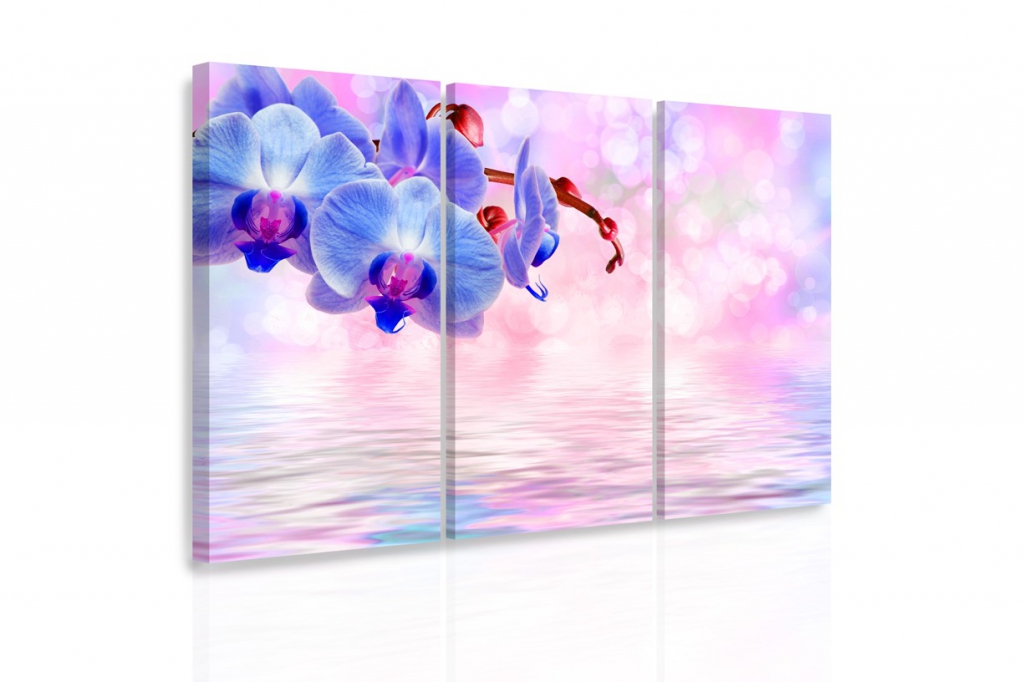 Vcedln obraz - Modr orchidej 90x60  cm
