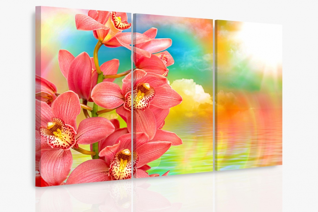 Vcedln obraz - Orchidej a duha 120x80  cm