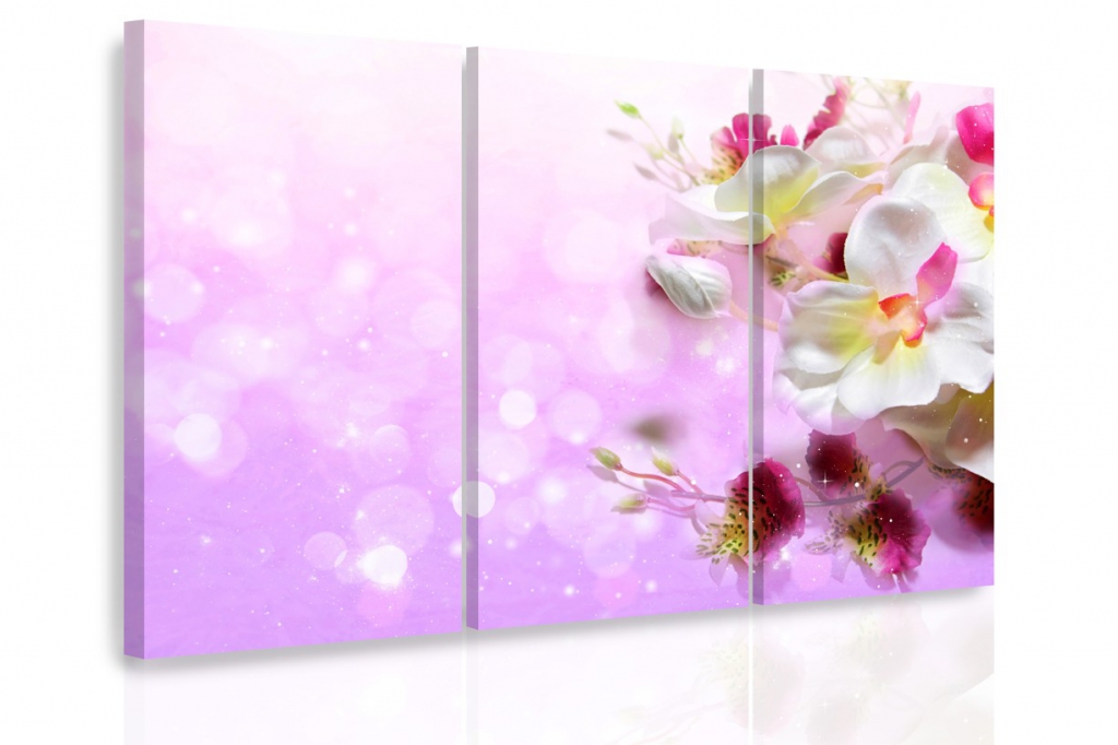 Vcedln obraz - Orchidej fantazie 90x60  cm