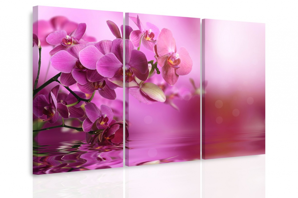 Vcedln obraz - Orchidej na hladin 90x60  cm