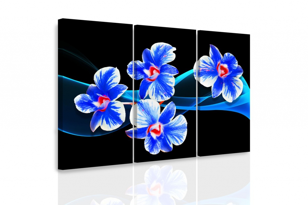 Vcedln obraz - Orchidej na vlnch 90x60  cm