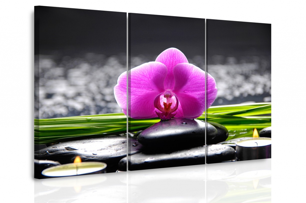 Vcedln obraz - Orchidej pi svkch 90x60  cm