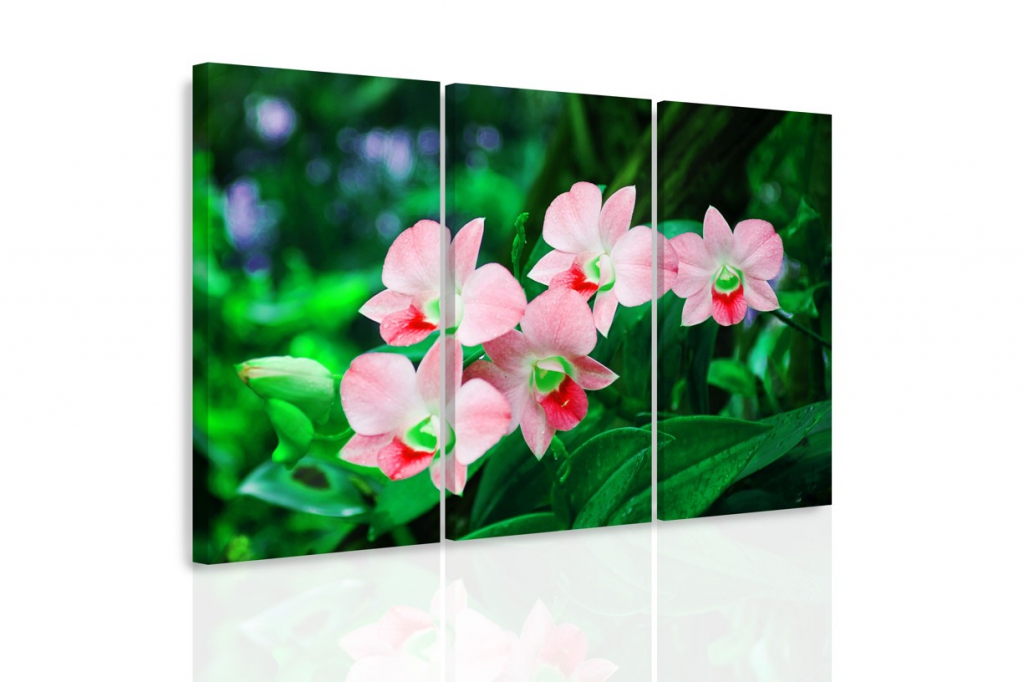 Vcedln obraz - Orchidej v prod II. 90x60  cm